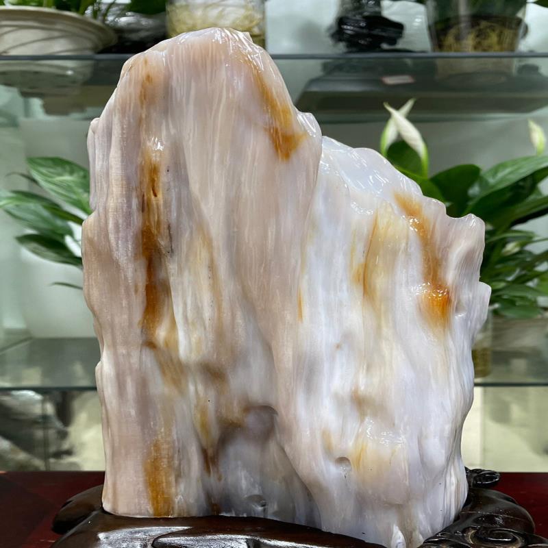 天然树化玉冰种树化石硅化木办公镇宅硅化玉奇石树化玉原石摆件