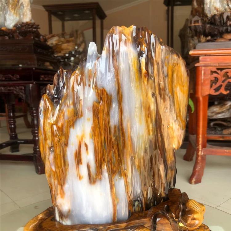 天然树化玉冰种树化石硅化木办公镇宅硅化玉奇石树化玉原石摆件