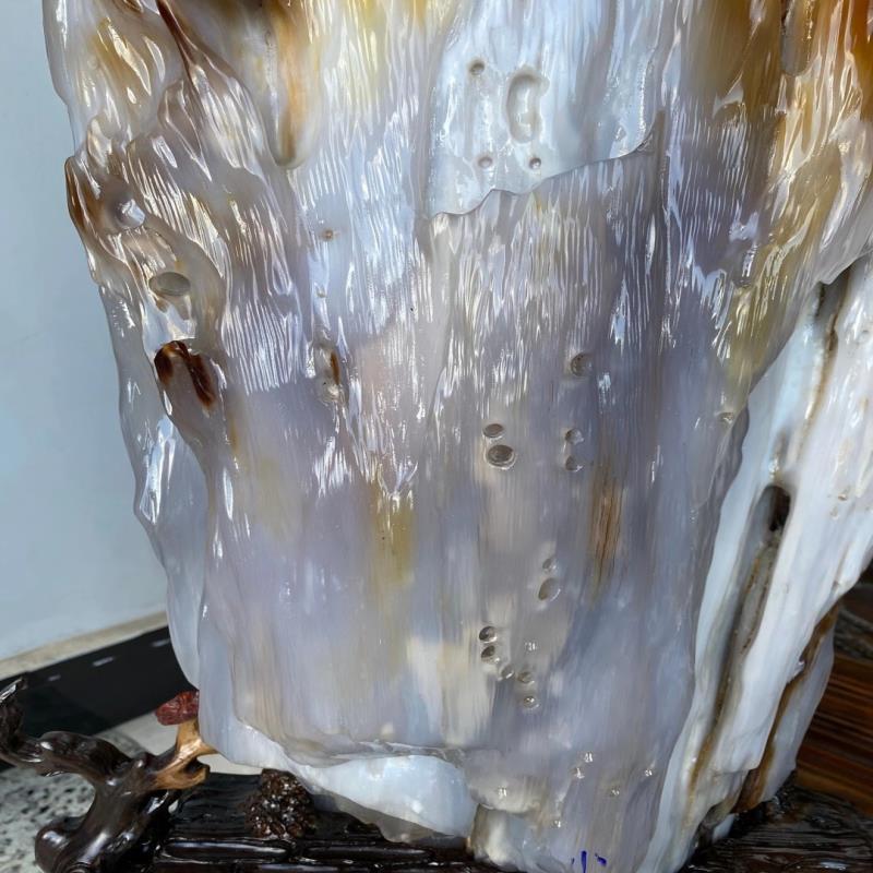 精品缅甸树化玉天然原石德佰老坑硅化木化石送礼收藏客厅奇石摆件