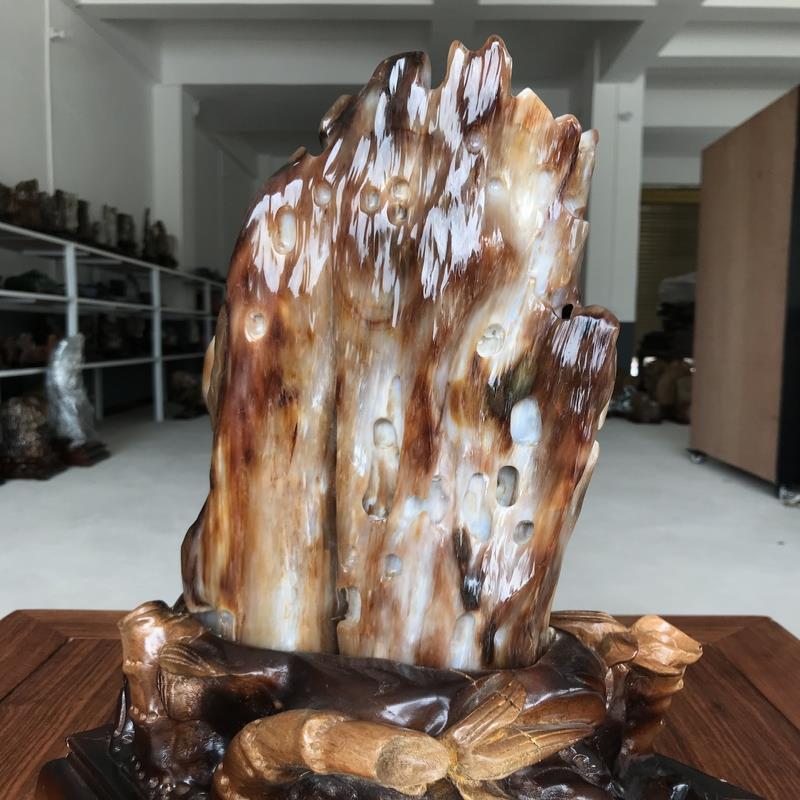 树化玉客厅摆件冰种木化石硅化木原石天然奇石观赏石玉化石
