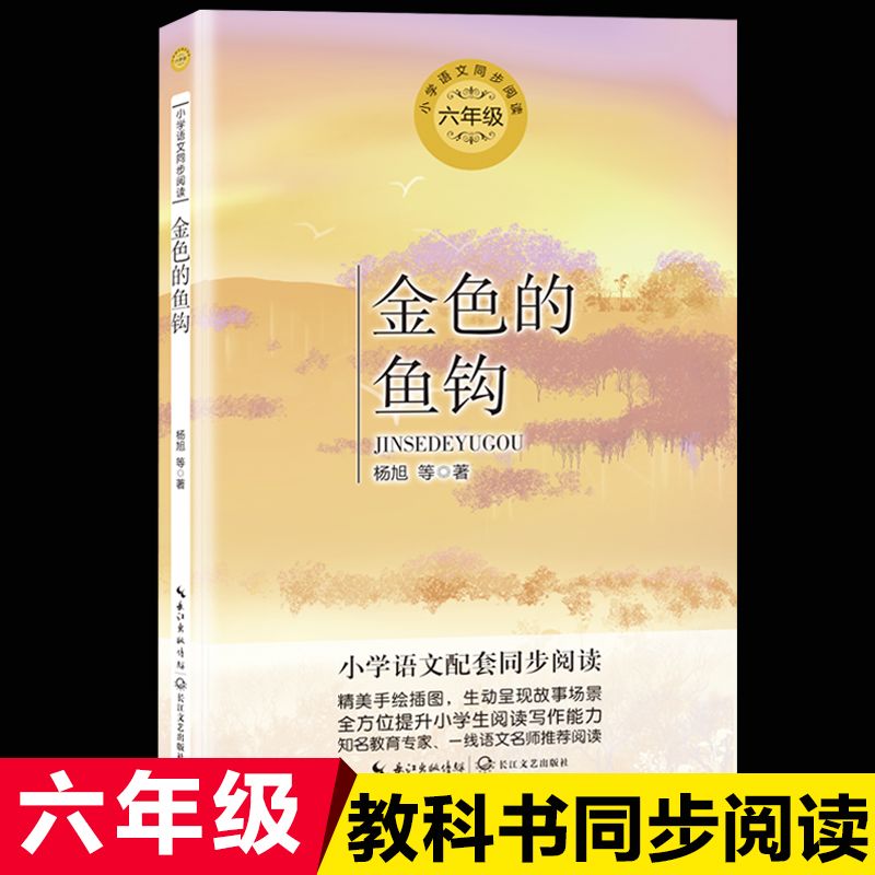 金色的鱼钩杨旭著红色经典故事书六年级下册课外书长江文艺出版社