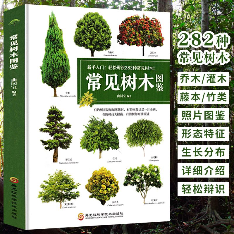 常见树木图鉴 植物图鉴书籍大全 小学生植物百科全书青少年版中国