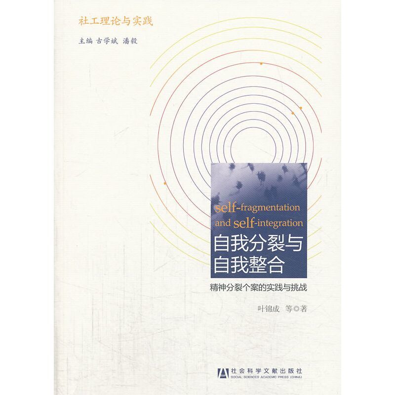 自我分裂与自我整合:精神分裂个案的实践与挑战