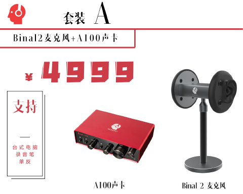 レビュー高評価の商品！ 【ASMR】HEADREC Binal A100【名器