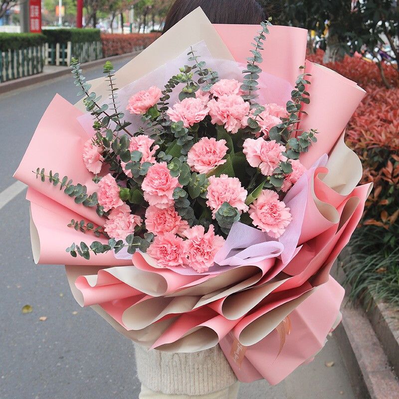 鲜花速递19朵粉色康乃馨花束礼盒送妈妈长辈老师生日全国同城送花
