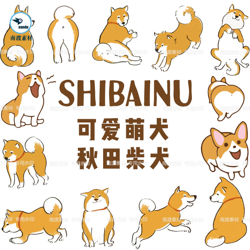 卡通手绘可爱小狗柴犬秋田犬插画ai矢量广告海报印刷平面设计素材