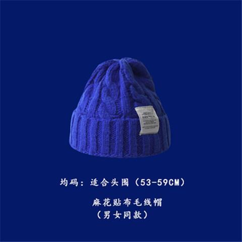 Klein blue hat blue knitted hat woolen hat for men and women autumn and winter versatile beret trendy duck tongue baseball cap