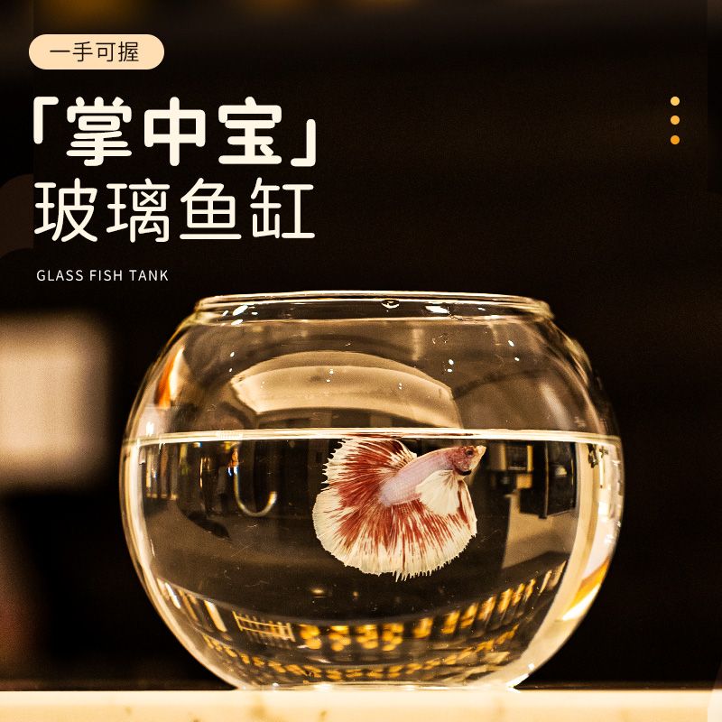 玻璃鱼缸小型迷你造景摆件客厅家用金鱼斗鱼水母乌龟观赏鱼专用缸