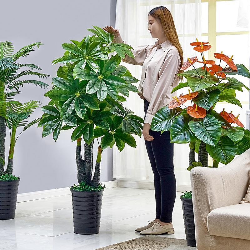 客厅放什么绿植好什么花好养又好看阳台种什么花好 好养活新品