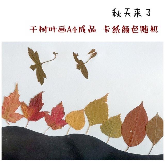 现货可发真树叶贴画成品a4幼儿学生手工作业彩色相框秋天小鸟孔雀【3