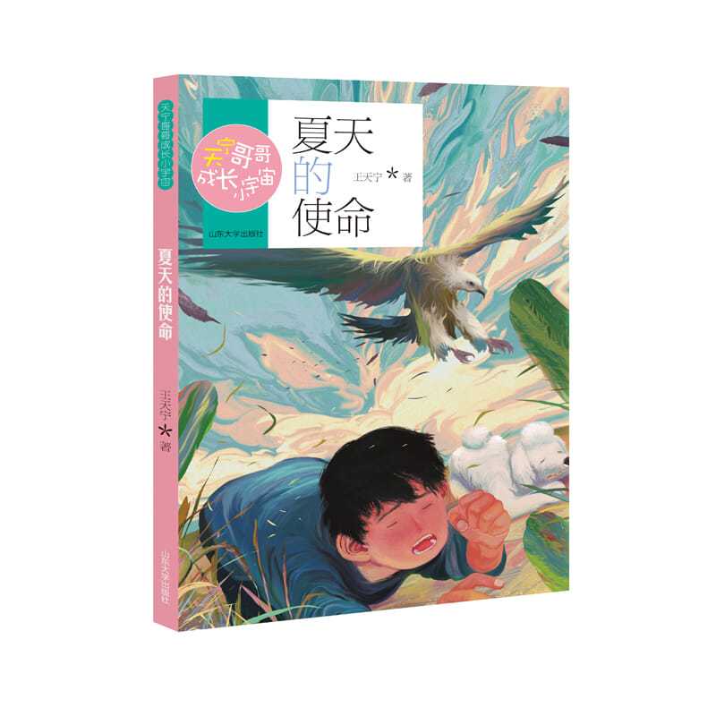 正版 天宁哥哥成长小宇宙 夏天的使命 王天宁著 冰心儿童文学奖获