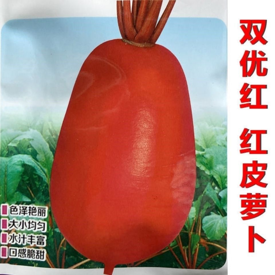 四季满身红大红袍萝卜种子 高产优质红萝卜籽 肉质细嫩味甜质脆