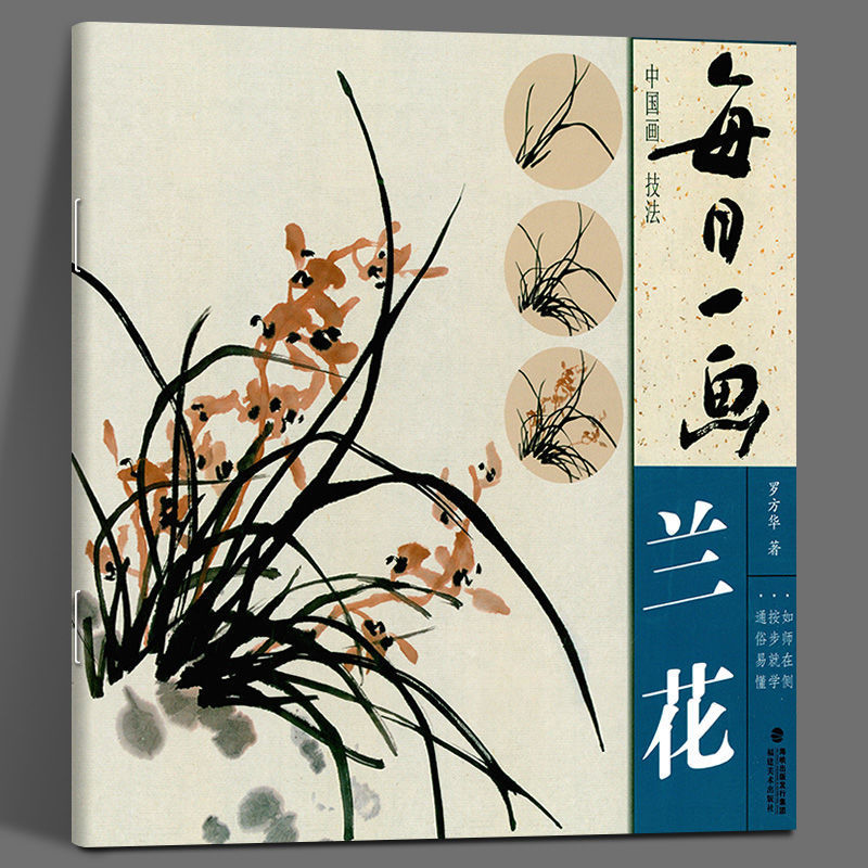 每日一画 兰花 中国画技法 罗芳华绘 写意水墨兰花画法入门国画