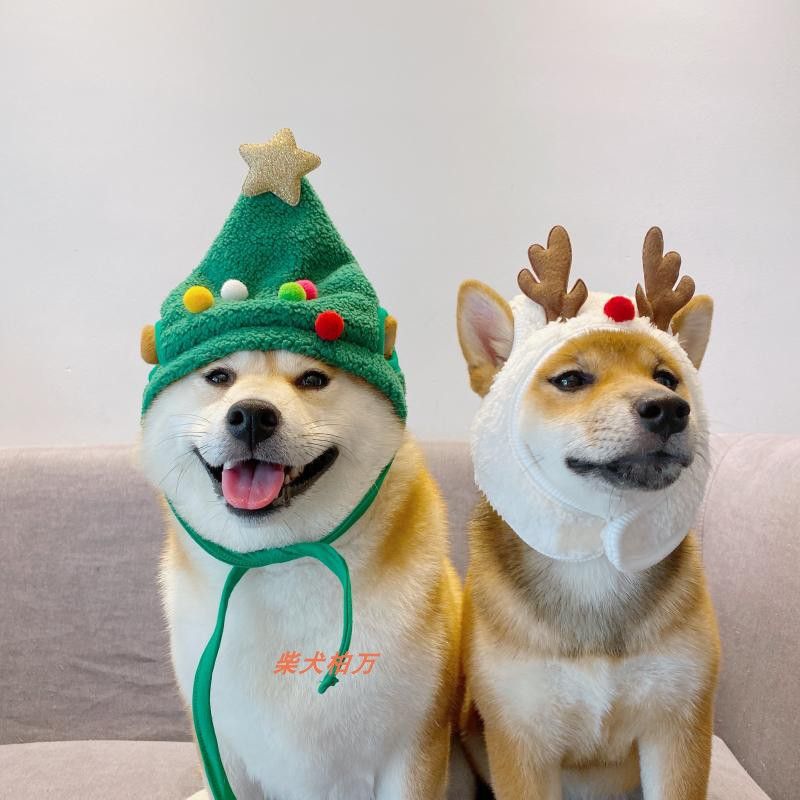 柏万同款ins韩国圣诞系列宠物狗狗帽子可爱搞笑万圣节新年柴犬帽