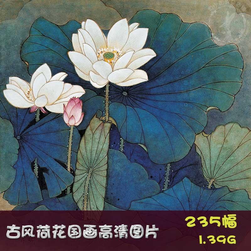 古风古典中国风荷花花鸟国画水墨画插画绘画临摹装饰设计素材