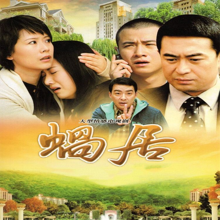 包邮都市情感电视剧光盘 蜗居 dvd碟片 张嘉译 海清
