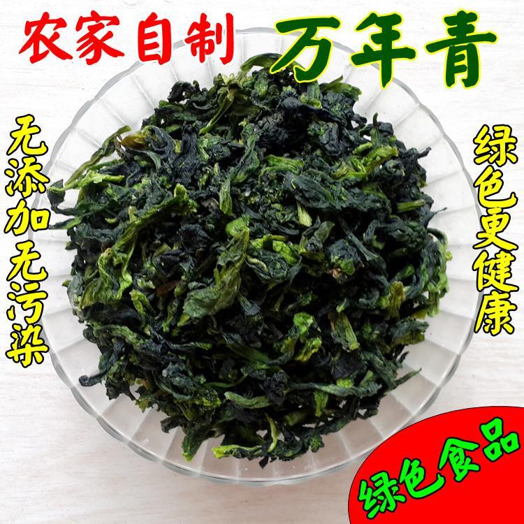 万年青500克鲜嫩菜芯干脱水蔬菜 菜蕻干 万年青菜干