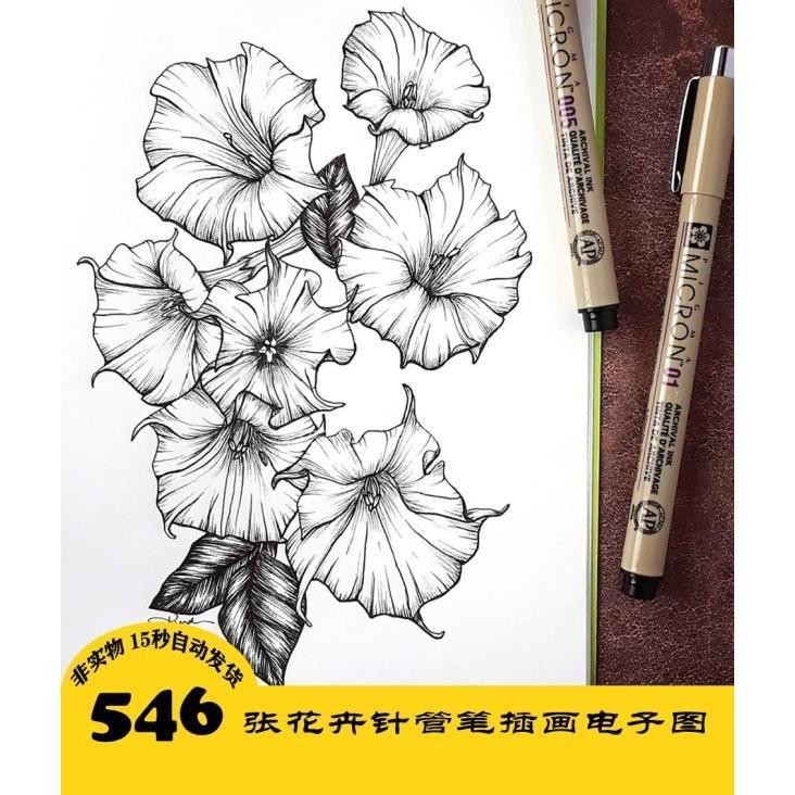 针管笔植物插画 电子图546张 花卉线稿 手绘装饰画临摹素材
