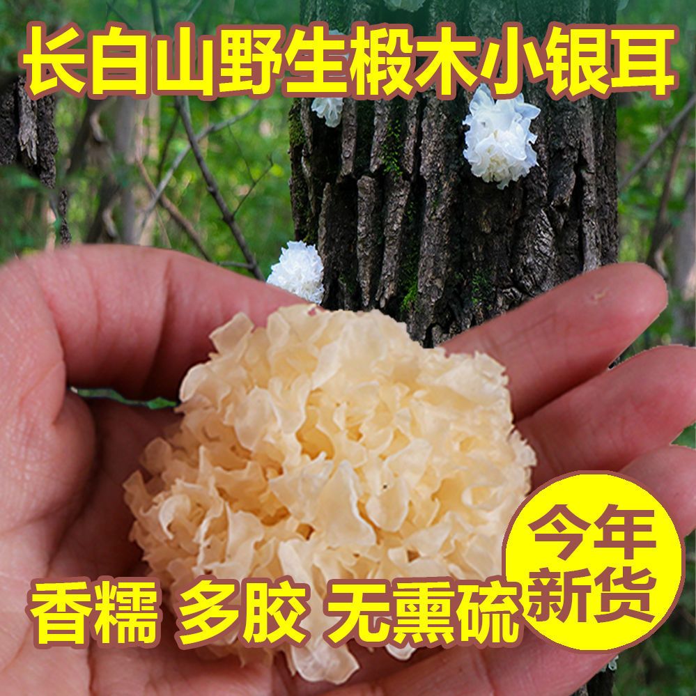 东北野生椴木银耳特级无硫雪耳长白山白木耳非通江莲子羹干货500g