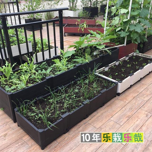 种植箱屋顶种菜神器楼顶种菜箱黑45种菜种植架种植架阳台种菜盆