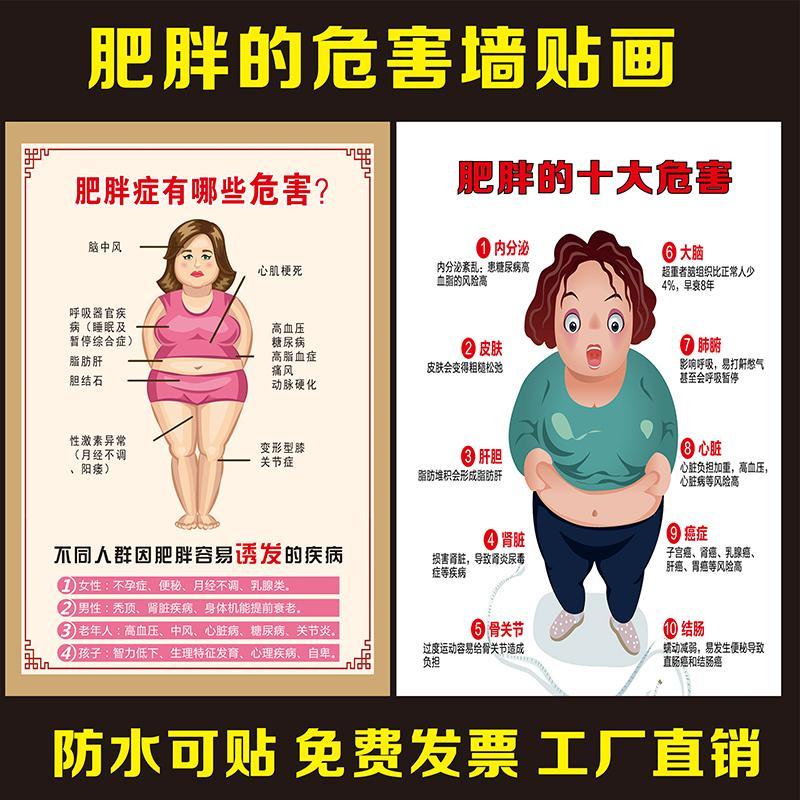中医养生馆美容院装饰画产后康复挂图肥胖的危害减肥海报广告贴纸