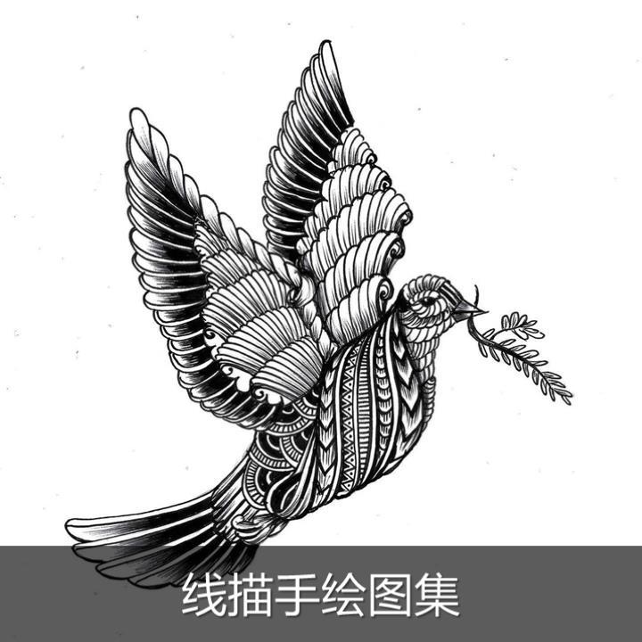 黑白小动物线条画线描画画稿儿童美术插画速写手绘临摹素材装饰画