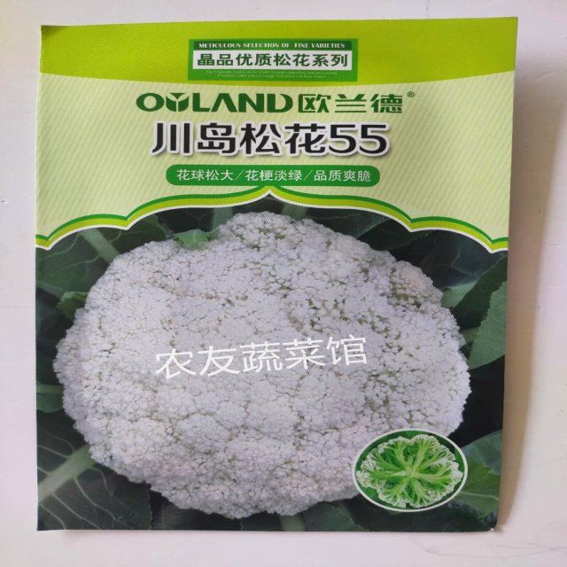 松花菜种子 川岛松花55 高产抗病耐热极早熟春秋播优质松花菜种籽