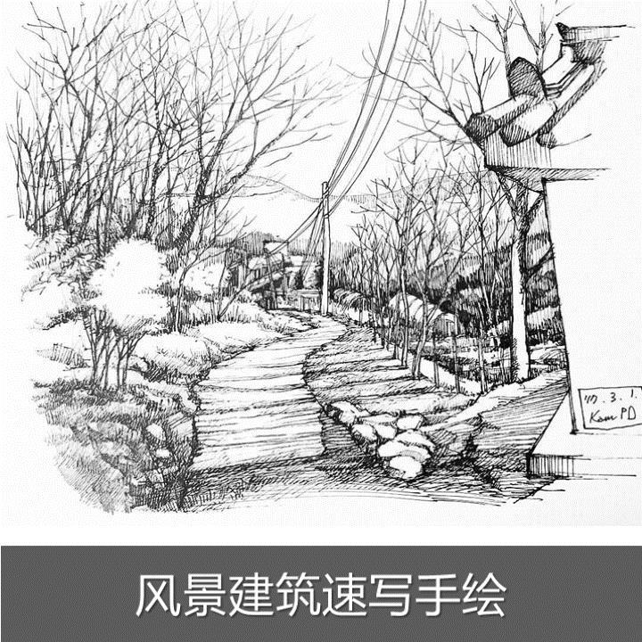 风景观建筑钢笔黑白速写手绘线描树木城市园林植物电子临摹素材图