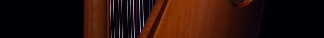 豎琴 專業豎琴 羅馬柱豎琴 大豎琴 古典豎琴 40弦 專業樂器路貓貓