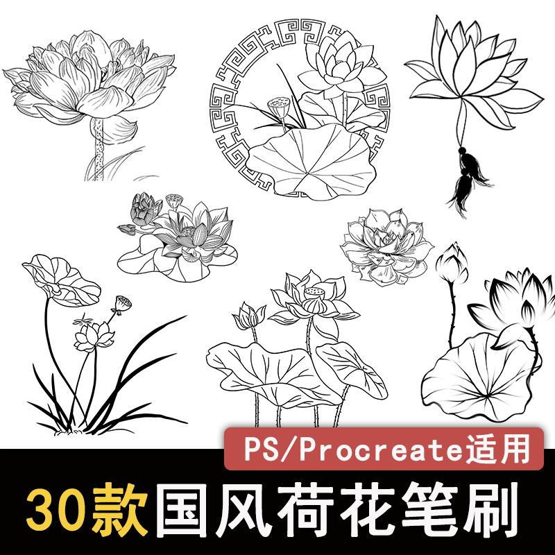 procreate笔刷ps笔刷中国风荷花花卉线稿荷叶睡莲植物图案素材