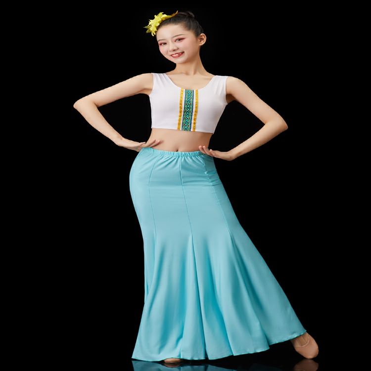 傣族舞蹈演出服练功裙表演服女傣族舞裙孔雀舞鱼尾半身裙艺考服装