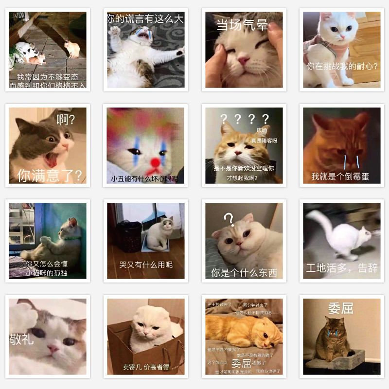 60 cat stickers ins animal funny emoticon package laptop IPAD decoration girls handbook stickers