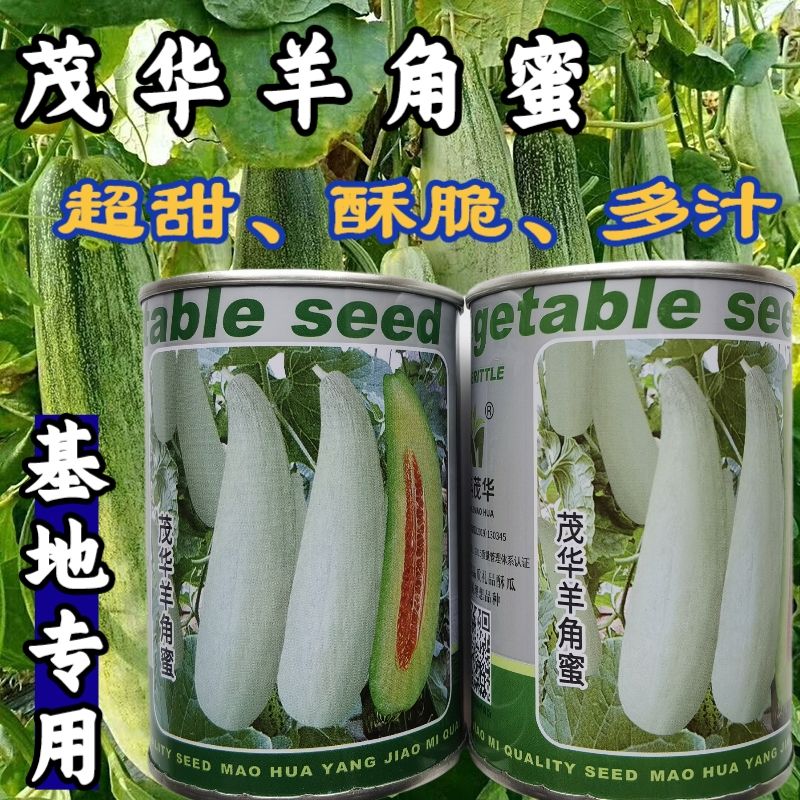 茂华羊角蜜种子酥脆香甜羊角蜜甜瓜羊角酥羊角脆水果蔬菜种子籽孑