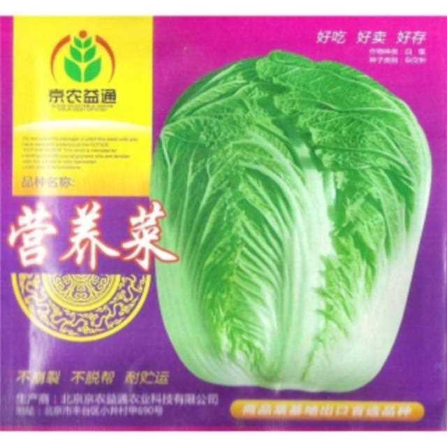 10克多叶营养白菜耐贮藏抗病叠包头大白菜种子火锅饺子菜蔬菜种子