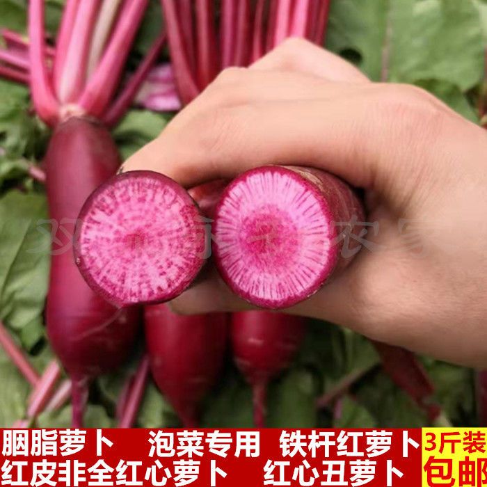 四川农家红皮红心萝卜新鲜蔬菜心里美胭脂萝卜红萝卜铁杆红萝卜