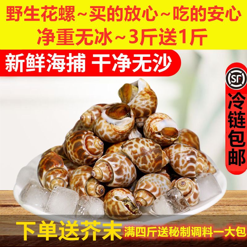 活冻花螺大海螺鲜活冷冻花螺野生新鲜小海螺香螺海鲜贝壳水产包邮【3