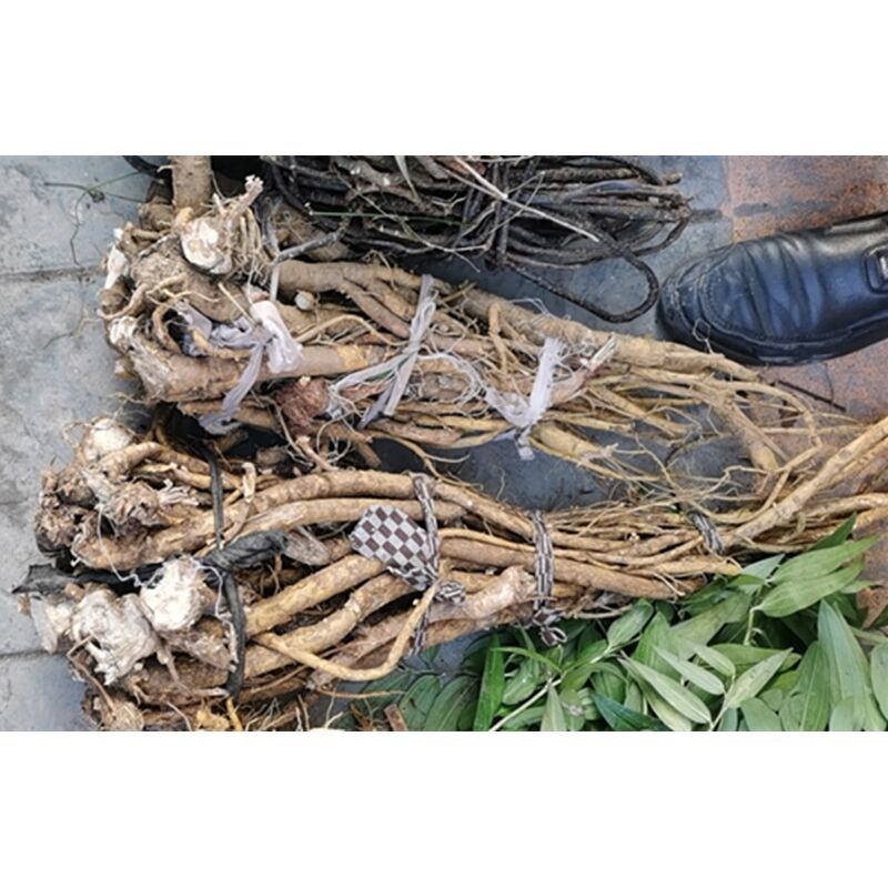 贵州草药野生苦参根片 中药材苦参根干片苦骨茶新晒新货500g包邮