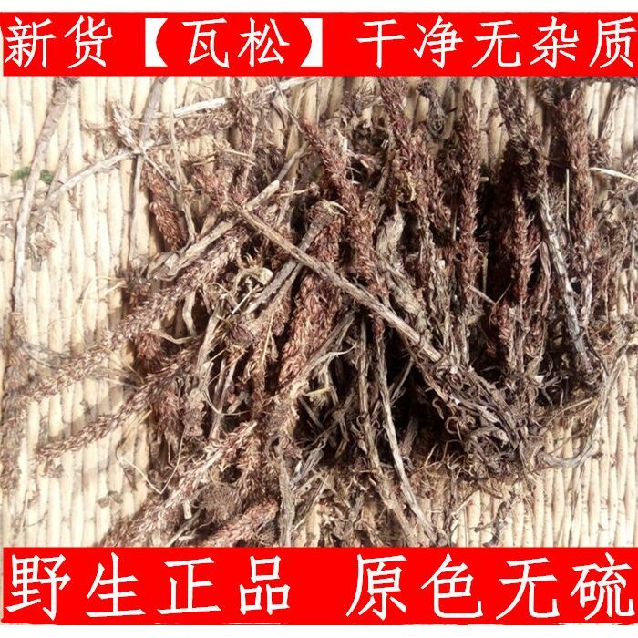 瓦松 款年新货中药材松瓦花 向天草 天铁塔草500g新鲜干货 可验货