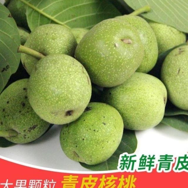 新鲜核桃去青皮新鲜核桃生核桃薄皮纸皮补脑现货新货湿核桃批发价