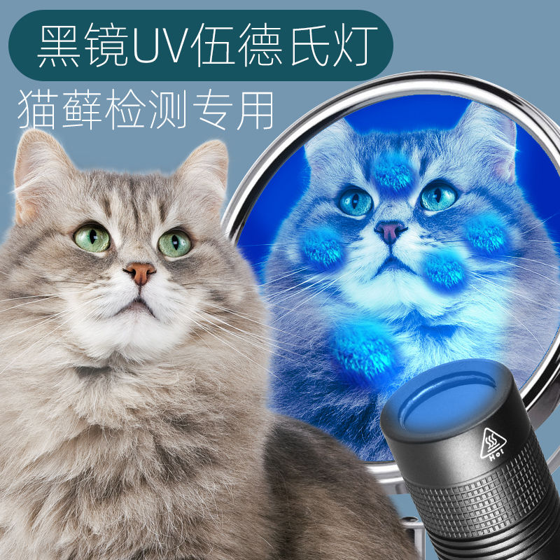 进口日本德国伍德氏灯猫藓灯宠物紫光灯照猫藓灯手电筒紫外线真菌