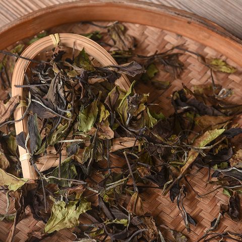 政和白茶 风烨 2016年政大寒露高山寿眉散茶30克  散装品鉴装
