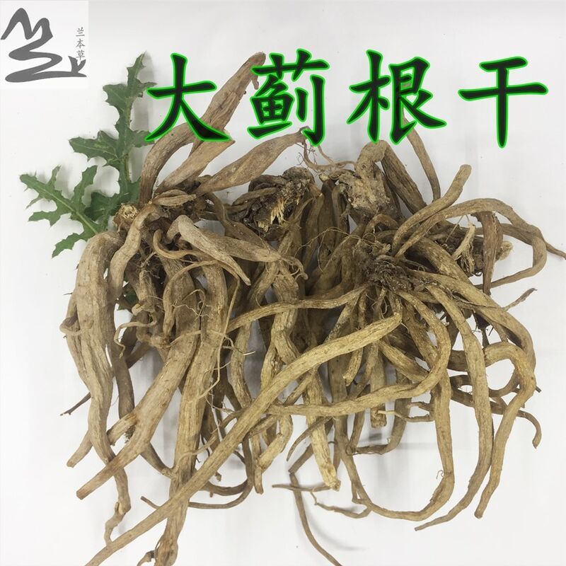 野生晒干大蓟根大小蓟刺蓟马蓟虎蓟刺儿菜中药材大蓟根干货500克