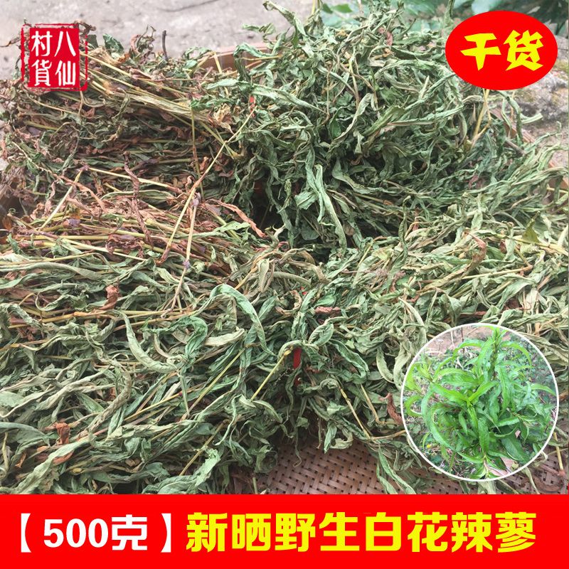 野生辣蓼草 新鲜辣廖 中草药白花辣蓼 辣马蓼辣椒草酒曲材料 包邮