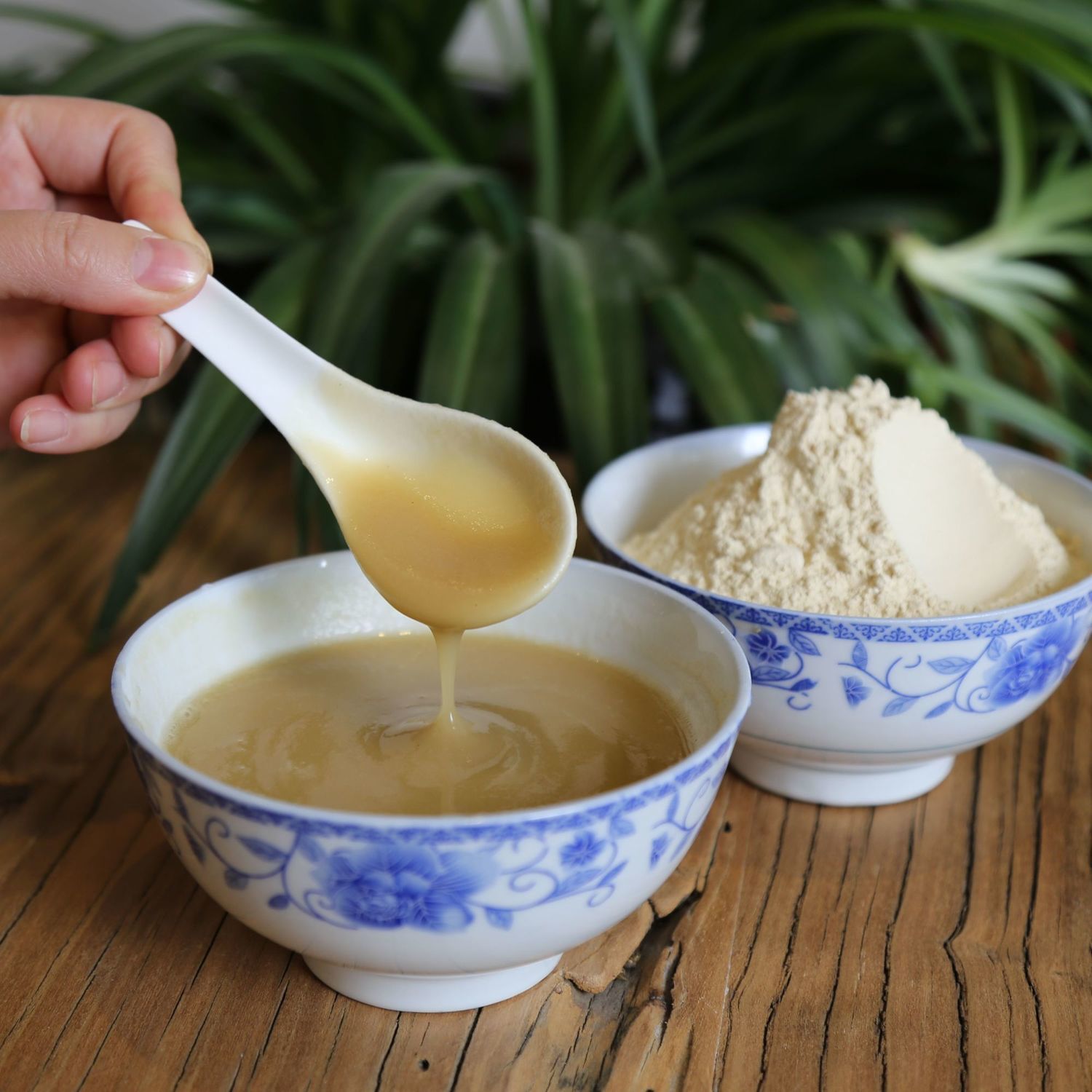 青木瓜粉木瓜粉可配野生葛根粉 500g包邮 代餐粉