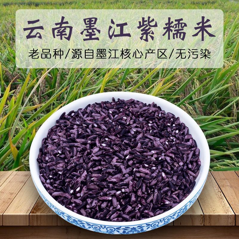 云南墨江紫米1斤-5斤 云南特产紫米 血糯米 黑糯米米类五谷杂粮