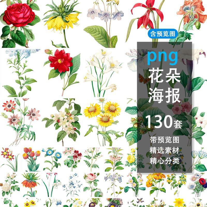 130个复古手绘植物花卉花朵装饰插画png免扣图片设计素材电子版