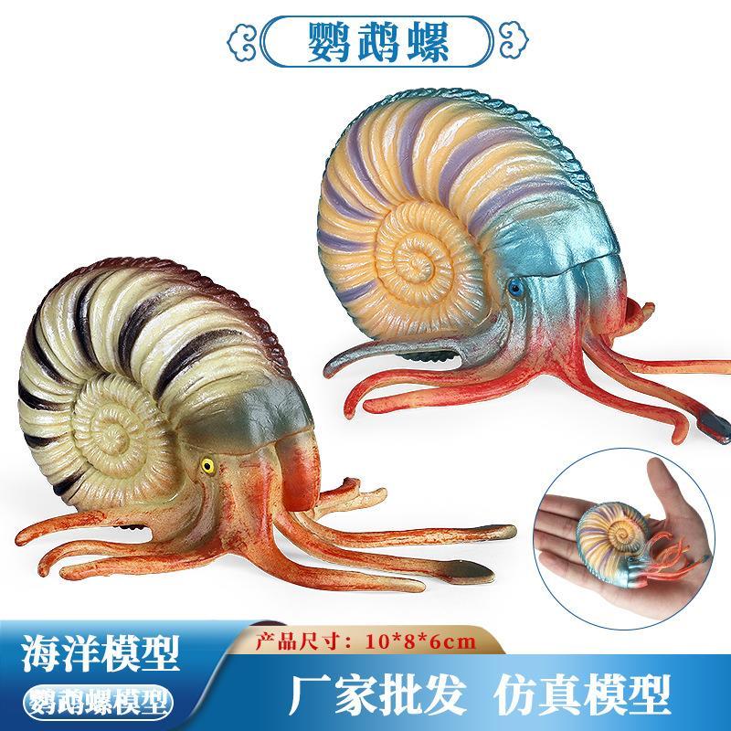 跨境仿真远古生物鹦鹉螺海螺海洋动物静态塑胶摆件儿童模型玩具