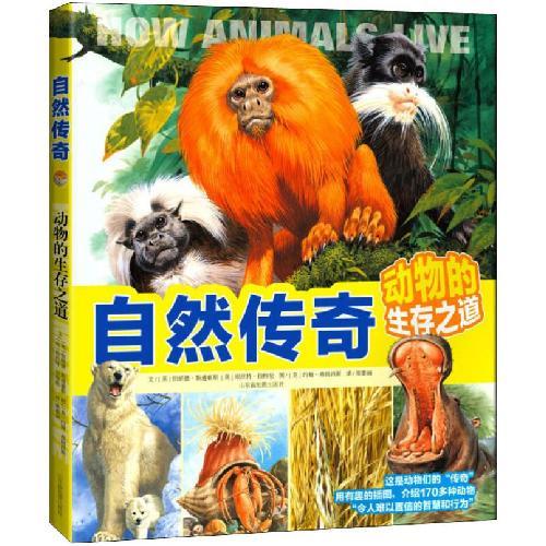 自然传奇 动物的生存之道