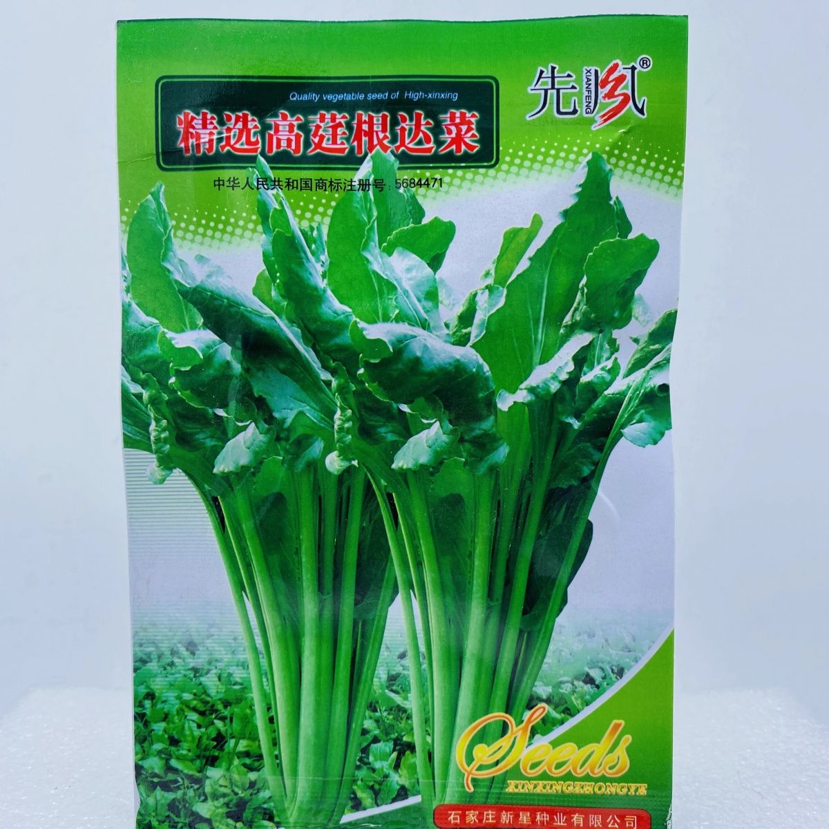 高莛根达菜种籽籽种孑菜种厚皮根达菜莙荙菜阳台四季蔬菜青菜菜籽