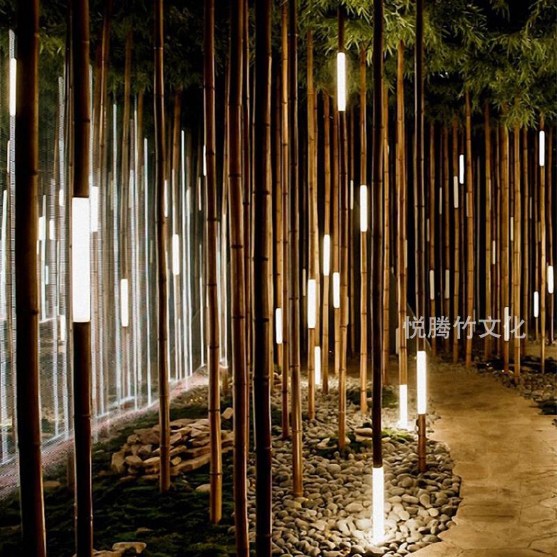 led景光灯户外防水芦苇竹筒灯庭院景区公园广场亮化竹子灯景观灯